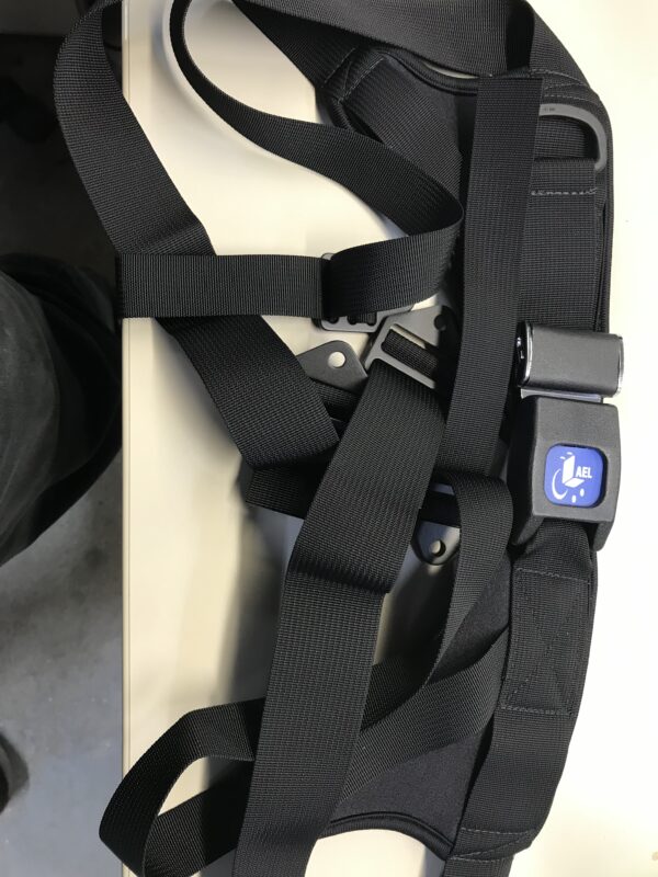 Seat Belt/Lap Belt AEL 4 Point center pull 65"